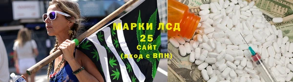 крисы Абаза