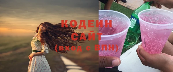 крисы Абаза