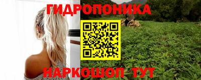 гидропоника Трёхгорный