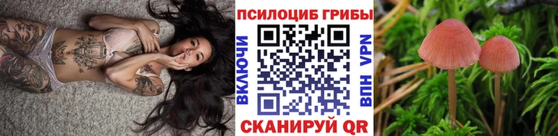 Галлюциногенные грибы MAGIC MUSHROOMS  купить   Братск 