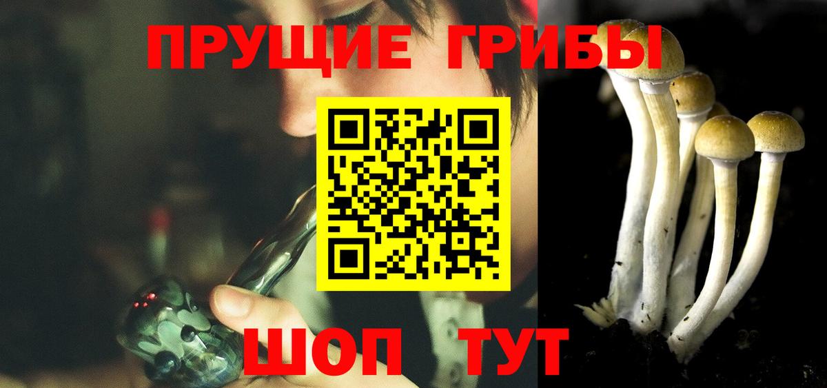 Братск  Псилоцибиновые грибы MAGIC MUSHROOMS  Вход с VPN  Псилоцибиновые грибы Cubensis 